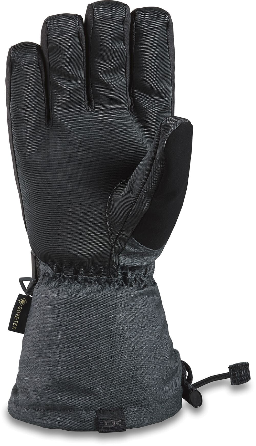 Dakine Men's Titan GORE-TEX Insulated Gloves - Waterproof Winter Warmth